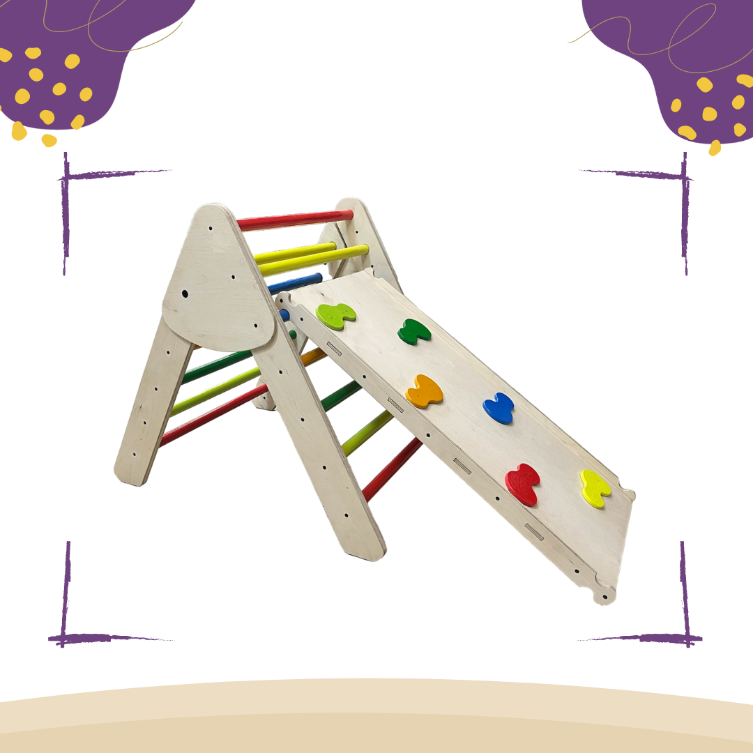 Climbing Ladder with Slide - Colored