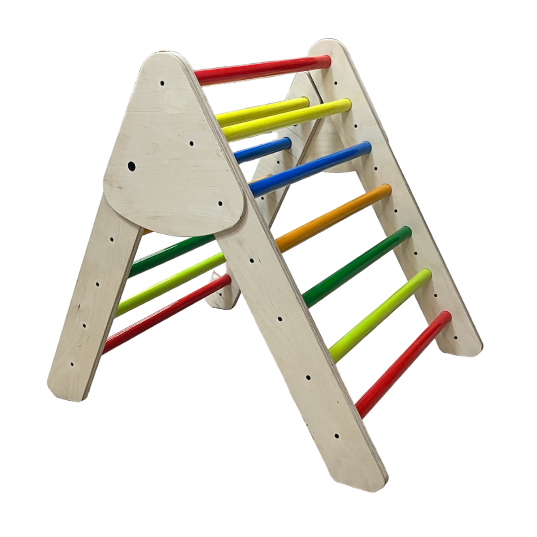 Climbing Ladder with Slide - Colored