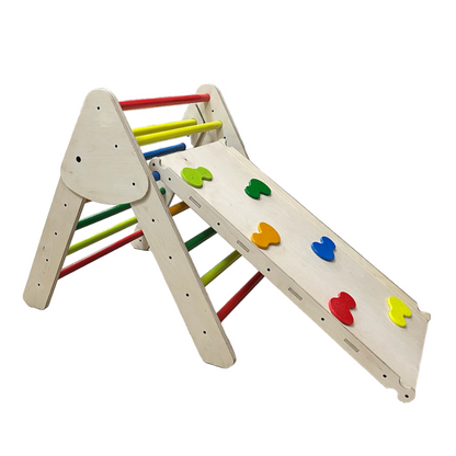 Climbing Ladder with Slide - Colored