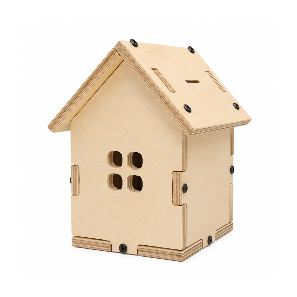DIY Coin House